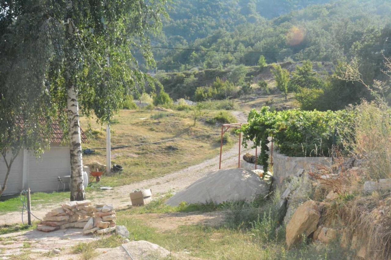Gazdinstvo Tadic ξενώνας Nikšić Εξωτερικό φωτογραφία